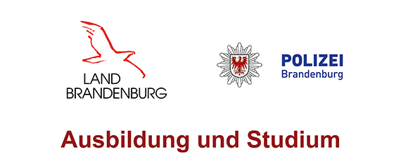 Ausbildung und Studium