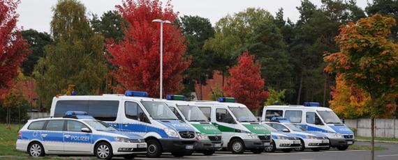 herbstliches Farbspiel auf dem Campus